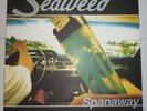 SEAWEED *Spanaway* 1995 Promo Vinyl LP