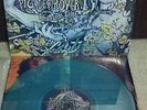 Pig Destroyer 
