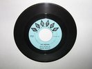 The Black Watch Left Behind Mega Scarce Michigan Garage 45 Fenton Label Great