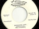 DOO WOP 45 by THE DYNAMICS HEAR IT