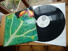 CATAPILLA CHANGES 1971 VERTIGO SWIRL MONSTER 