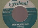 R&B - DOO WOP -BILLY WARD & DOMINOES -SilvTop FEDERAL- 