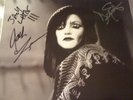 Dead Weather (The) Die By The Drop 45 rpm 7