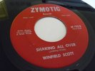 WINFIELD SCOTT RARE MICHIGAN GARAGE ON ZYMOTIC LBL M-703 SHAKING ALL OVER