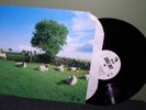 The KLF 