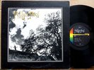 FOLLY'S POOL LP Private Fresno Prog Folk Psych CENTURY