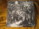 GRAVELAND carpathian wolves ORIG LP emperor satyricon burzum mayhem