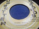 UPSETTER Orig. JA Dark Moon THE RIGHTEOUS UPSETTERS ? LP4155/L.PERRY 3768 ? EX-