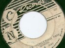 1964 - You're Wondering Now - Andy & Joey ( C&N Records ) SKA 7