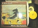 R. Stevie Moore LP What's The Point? 1984 Ariel Pink original vinyl rare WOW