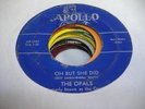 HEAR Doo Wop Rare Original 45 THE OPALS Oh But She Did on Apollo