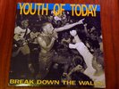 Youth Of Today - Break Down The Walls LP early Revelation pressing sXe