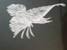 LP The Raveonettes - Raven in the Grave (eingeschweißt, Klappcover)