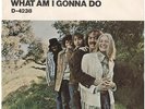 SMITH--PICTURE SLEEVE ONLY on DUNHILL--(WHAT AM I GONNA DO)--PS--PIC--SLV