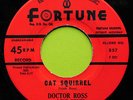 DOCTOR ROSS, CAT SQUIRREL, FORTUNE 857, ORIG US, MINT-