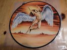 Led Zeppelin / Live In Cleveland   / Mega  Rare Picture Disc 12