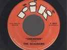 The Seagrams  Unknown  RARE TITTYSHAKER SLEAZE INSTRO 45 HEAR