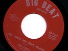 garage 45 Big beat THE KIDDS See what my love means / Straighten up and fly righ