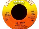 ESTELLE LEVITT All I Dream on Music Factory Promo Soul Mod Psych 45 Hear