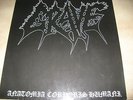Grave - Anatomia Corporis Humani