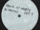 Bob Marley & Lee Perry - Shocks Of Mighty / Version ( white label)