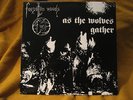 FORGOTTEN WOODS as the wolves gather ORIG LP mayhem burzum darkthrone horna
