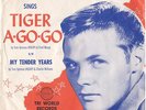 DON SNYDER--RARE TEEN PICTURE SLEEVE + 45 on TRI-WORLD--(TIGER A-GO-GO)--PS--PIC