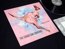 Trash Can Sinatras UK original RARE LP A Happy Pocket MINT c86 TRASHCAN not cd