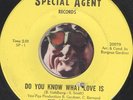 SYL JOHNSON Do You Know What Love Is RARE NORTHERN SOUL R&B 45 RPM  RECORD HEAR