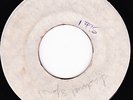 JAMAICANS - FEEL IT b/w Don't Believe Her on a blank HARRY J  label   ??