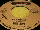 SKULL SNAPS.IT'S A NEW DAY/MY HANG UP IS YOU.GSF RECORDS.US ORIG.