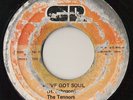 TENNORS I’ve Got Soul JAMAICA LOVERS REGGAE SKA 7” ??