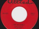Garage Punk Freakbeat 45 - TANYA DAY (with Ritchie Blackmore?) - I Get So Lonely
