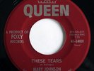 NORTHERN SOUL R & B - MARY JOHNSON These Tears QUEEN