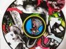 Yeah Yeah Yeahs Fever to Tell - Picture Disc LP Rare LTD OOP Pic Original Press