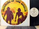 O.S.T. MORNING OF THE EARTH japan org LP oz surf movie tamam shud g wayne thomas