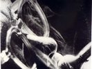 THE RETURN OF HOWARD McGHEE-CBS/SONY COPY OF THE BEHLEHEM LP