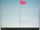 WIRE Pink Flag 1977 (RARE Vinyl Album)