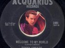 SONNY FREEZE Welcome To My World RARE ROCKABILLY GARAGE BOPPER 45 RPM LISTEN