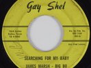 Northern Soul 45 JAMES MARSH-BIG BO Searching For My Baby GAY SHEL HEAR