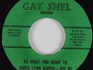 Northern Soul 45 JAMES LYNN MARSH-BIG BO Do What You Want To GAY SHEL HEAR NM