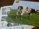 ATOM HEART MOTHER 