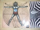 DR.DOPO JAM Entree Danish prog ZEBRA label Germany 1973 RARE NM