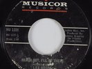Funk Breaks 45 LEE MOSES Reach Out, I'll Be There MUSICOR HEAR