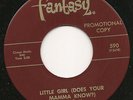 THE GOLLIWOGS Don't Tell Me No Lies FANTASY 45 rare NM
