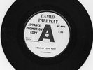 DEE DEE SHARP I Really Love You UK 45 CAMEO-PARKWAY NORTHERN SOUL DEMO HEAR 1965