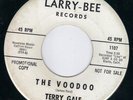 HOT 60's GARAGE ROCKER / ROCKABILLY - TERRY GALE - THE VOODOO   HEAR