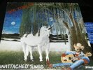 DOC TIBBLES Unattatched Tunes LP PRIVATE HIPPIE FOLK GUITAR listen