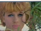 Jackie Trent - 'The Magic Of' 1965 UK Pye Mono LP. Ex