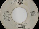 rare Soul 45 WES LEWIS on BLACK KAT Listen